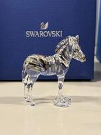Swarovski scs zebra baby zuri, Verzamelen, Swarovski, Ophalen of Verzenden, Zo goed als nieuw, Figuurtje