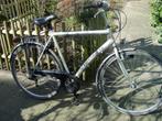 HERENFIETS RANGER 8 VERSNELLINGEN, Gebruikt, Versnellingen, 53 tot 57 cm, Ophalen