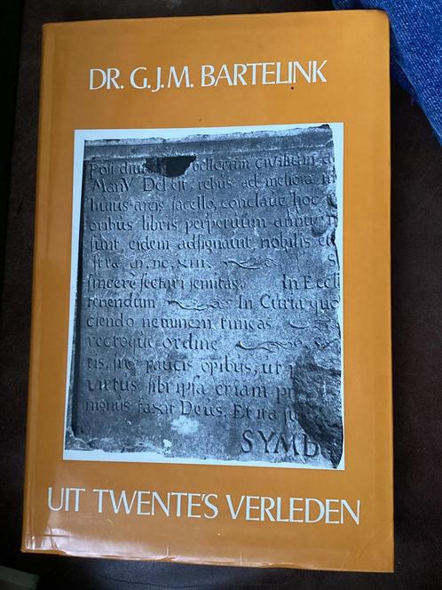 Uit Twente’s verleden Dr. G.J.M. Bartelink, Boeken, Kunst en Cultuur | Beeldend, Zo goed als nieuw, Schilder- en Tekenkunst, Ophalen of Verzenden