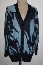 Hugo Boss oversized vest maat XS / S 34 / 36, Kleding | Dames, Blauw, Hugo Boss, Ophalen of Verzenden, Zo goed als nieuw