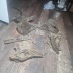 Kienhout, Dieren en Toebehoren, Ophalen