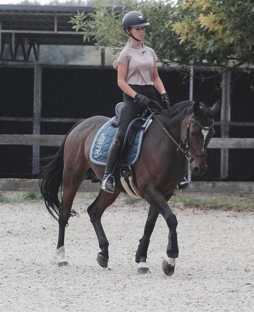Leuke recreatiepony te lease (verzorger gezocht), Dieren en Toebehoren, Paarden en Pony's | Overige Paardenspullen, Ophalen of Verzenden