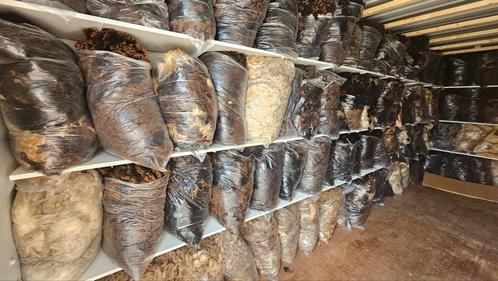 Schapenwol, Dieren en Toebehoren, Schapen, Geiten en Varkens, Schaap, Meerdere dieren