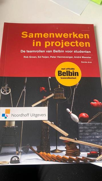 Ed Feijen - Samenwerken in projecten