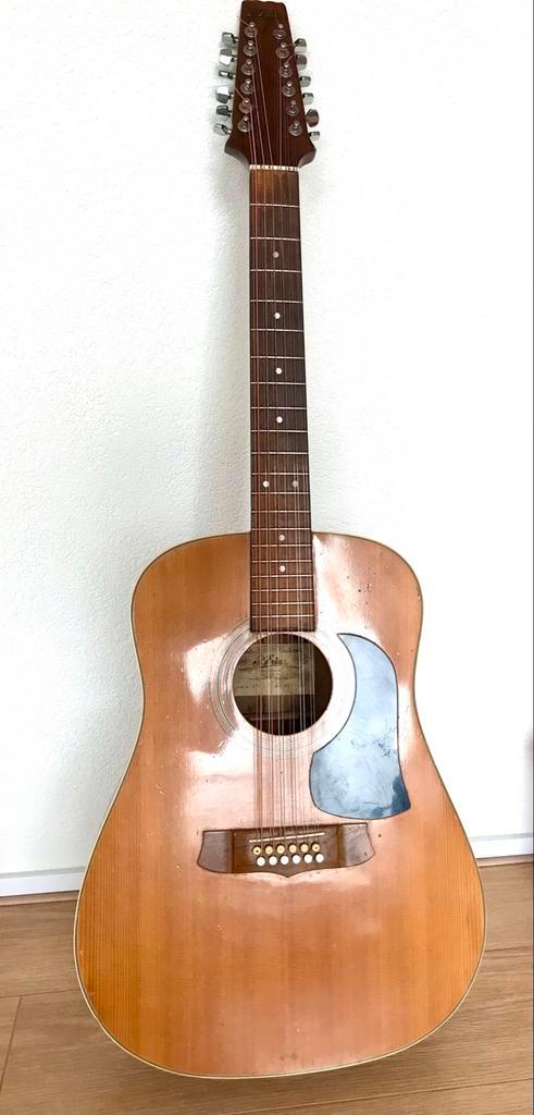 Aria 12-snarige gitaar - Vintage, Muziek en Instrumenten, Snaarinstrumenten | Overige, Gebruikt, Ophalen of Verzenden