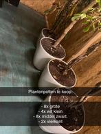 Grote planten potten, Ophalen of Verzenden