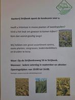 Diverse tuin planten te koop!, Tuin en Terras, Planten | Tuinplanten, Ophalen, Overige soorten, Volle zon