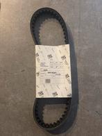 Nieuwe V-Snaar LX50 2T, Fietsen en Brommers, Ophalen of Verzenden, Nieuw, Overige typen, Piaggio