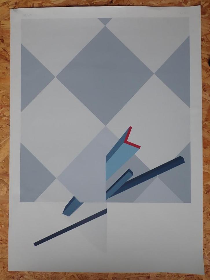 Mooie zeefdruk - Will Ferwerda (1941-2016), Antiek en Kunst, Kunst | Litho's en Zeefdrukken, Ophalen of Verzenden