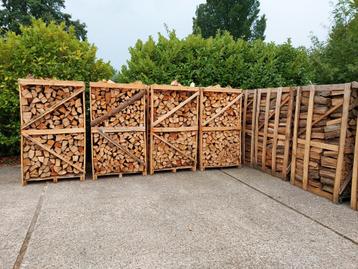 Droog beuken, eiken of essen  beschikbaar voor biedingen