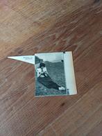 Knipsel  Bunschoten  breistertje 1931, Ophalen of Verzenden, 1920 tot 1940, Knipsel(s)