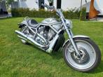 Harley Davidson V-Rod Anniversary 2003, Motoren, Motoren | Harley-Davidson, Chopper, Bedrijf, 1130 cc