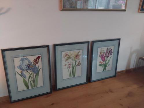 3 Posters in grafische druk in mooie lijst in passepartout., Huis en Inrichting, Woonaccessoires | Lijsten, Ophalen