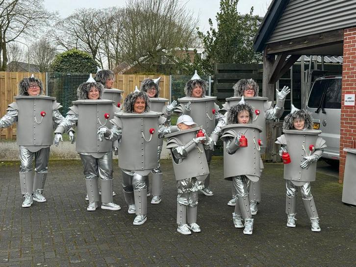 Loopgroep Tinman , blikken, Kleding | Dames, Carnavalskleding en Feestkleding, Zo goed als nieuw, Kleding, Carnaval, Maat 46/48 (XL) of groter