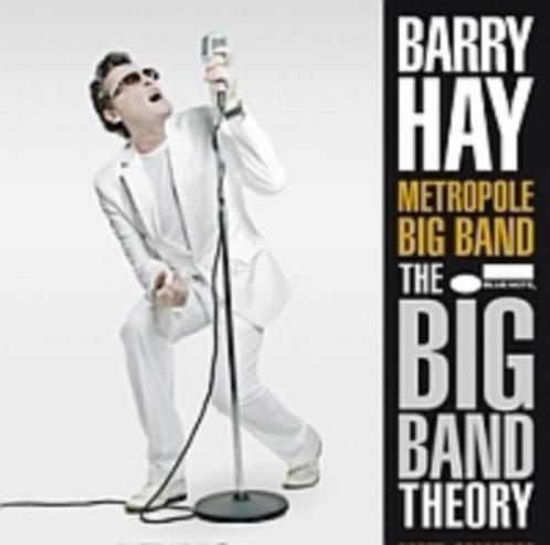 BARRY HAY - THE BIG BAND THEORY (CD), Cd's en Dvd's, Cd's | Rock, Gebruikt, Poprock, Ophalen of Verzenden