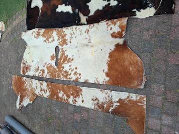 Grote stuk koeienhuid + 3x kleinere stukjes beschikbaar voor biedingen