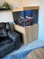 Compleet zee aquarium, Dieren en Toebehoren, Vissen | Aquaria en Toebehoren, Ophalen, Gebruikt, Gevuld zeewateraquarium