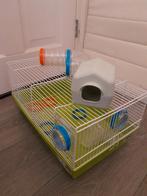 Kooi, Ophalen of Verzenden, Kooi, Hamster