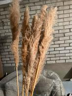 Pampas pluimen, Huis en Inrichting, Ophalen, Zo goed als nieuw