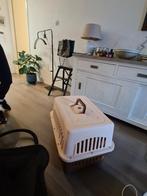 transportbox voor honden, Dieren en Toebehoren, Ophalen of Verzenden, Zo goed als nieuw