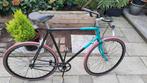 Koga Myata fixed bike, 59 cm of meer, Ophalen