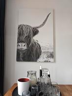 Canvas met Hooglander, Huis en Inrichting, Woonaccessoires | Schilderijen, Tekeningen en Foto's, Ophalen, Zo goed als nieuw, Foto of Poster