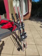 Ski's, 140 tot 160 cm, Gebruikt, Carve, Skiën