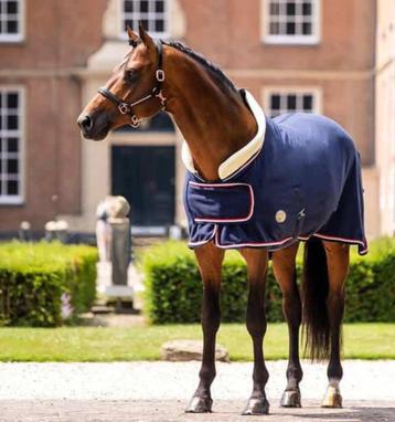 Showdeken paardendeken HB Polar 400 Dutch Crown Blauw beschikbaar voor biedingen