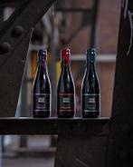 Frontaal / Bravoure / Folkingebrew Great Minds B.A. serie, Ophalen of Verzenden, Nieuw, Flesje(s), Overige merken