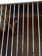 Gordelgrasvink koppel en losse pop, Dieren en Toebehoren, Vogels | Overige Vogels, Meerdere dieren, Tropenvogel