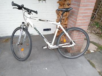 Witte herenfiets Gitane  beschikbaar voor biedingen