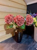Hortensia stelen, Ophalen of Verzenden, Nieuw, Binnen