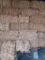 Stro/ tarwe stro/ kleine balen stro, Dieren en Toebehoren, Dierenvoeding, Ophalen, Vee