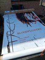 The Cure "Bloodflowers" poster, Ophalen of Verzenden, A1 t/m A3, Zo goed als nieuw