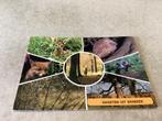 Eerbeek.        Groeten uit, Verzamelen, Ansichtkaarten | Nederland, Ophalen of Verzenden