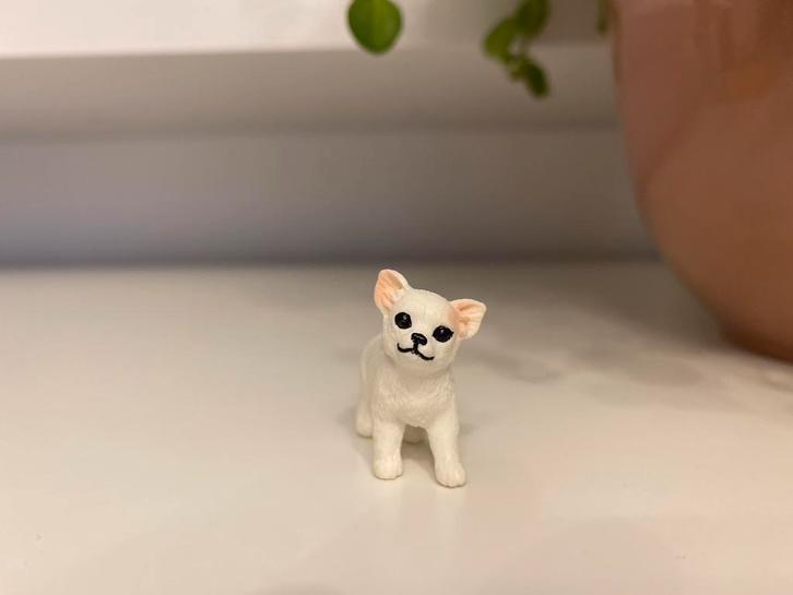 Schleich Witte Keeshond (10), Verzamelen, Dierenverzamelingen, Nieuw, Beeldje of Figuurtje, Hond of Kat, Ophalen of Verzenden