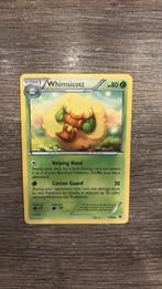 EPO Whimsicott 11/98, Ophalen of Verzenden, Zo goed als nieuw