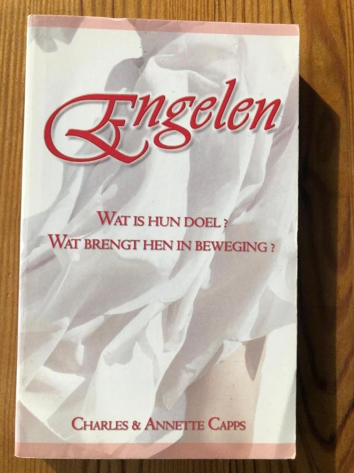 Engelen - wat is hun doel? Wat brengt hen in beweging, Boeken, Godsdienst en Theologie, Zo goed als nieuw, Christendom | Katholiek