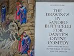 The Drawings by Sandro Botticelli for Dantes Divine Comedy, Ophalen of Verzenden, Zo goed als nieuw, Kenneth Clark, Schilder- en Tekenkunst