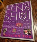Feng Shui van Lillian Too, Ophalen of Verzenden, Gelezen