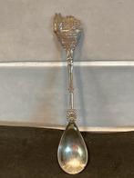 Theelepeltje Kasteel Rozendaag Velp (270824), Ophalen of Verzenden, Gebruikt, Zilver