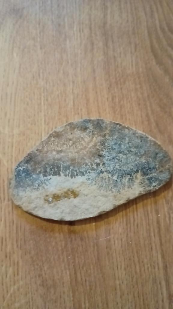 Dendrieten 10,5 bij 6 bij 0,5 centimeter 69 gram, Verzamelen, Mineralen en Fossielen, Mineraal, Ophalen of Verzenden