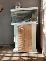 Aquarium 60x30x30 incl. meubel, Dieren en Toebehoren, Vissen | Aquaria en Toebehoren, Ophalen, Gebruikt, Leeg aquarium