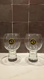Licor 43 Ballonglazen - Nooit gebruikt!, Ophalen of Verzenden, Zo goed als nieuw, Borrel- of Shotglas