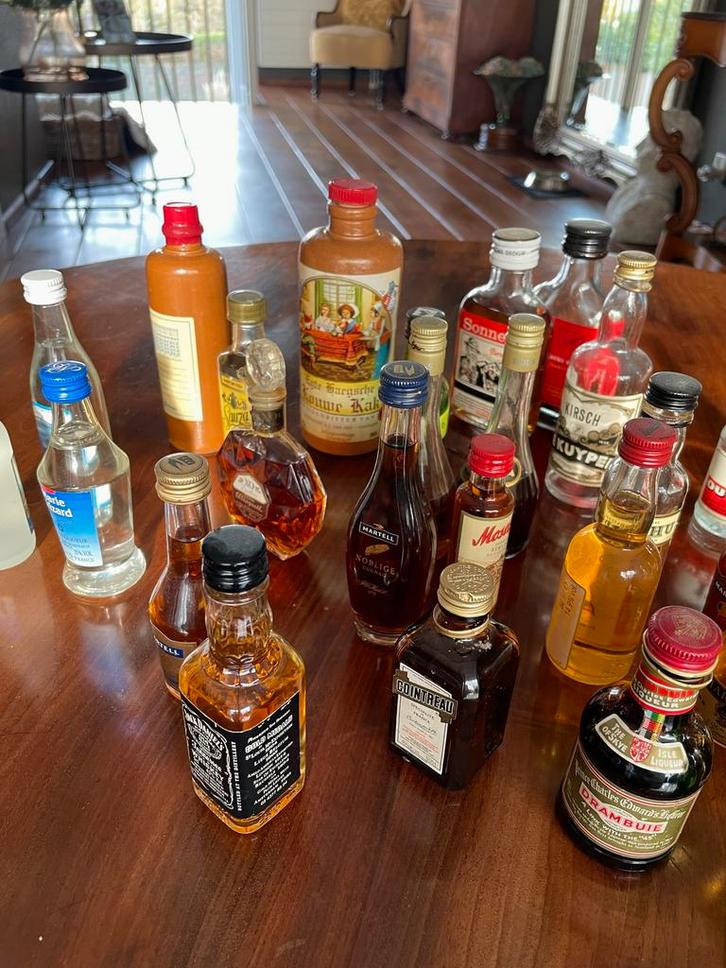 Miniatuur Drankflesjes Verzameling, Verzamelen, Wijnen, Zo goed als nieuw, Overige typen, Overige gebieden, Ophalen