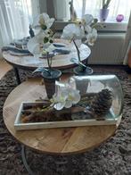 3 x orchideeën, Ophalen, Zo goed als nieuw