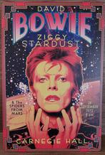 David Bowie Ziggy Stardust reclamebord van metaal wandbord