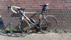 Bulls Harrier 1, 28 inch, Gebruikt, Meer dan 20 versnellingen, 53 tot 57 cm