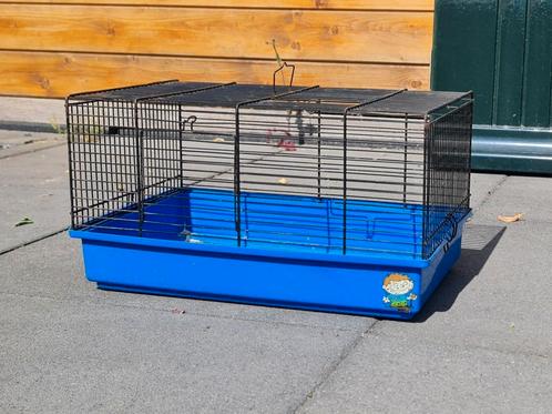 ✨️Leuk knaagdieren en konijnen hok✨️, Dieren en Toebehoren, Knaagdieren en Konijnen | Hokken en Kooien, Kooi, Cavia, Chinchilla