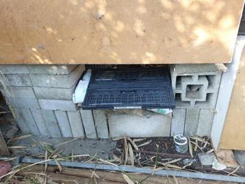 Gratis afhalen: Patioblokken 30x30x10 cm beschikbaar voor biedingen